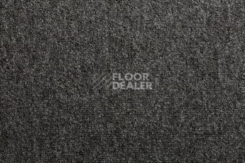 Ковролин Condor Forza 76 фото 1 | FLOORDEALER